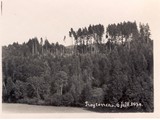 Archive-Lothard-1930-3