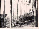 Archive-Lothard-1930-4