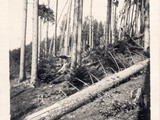 Archive-Lothard-1930-5