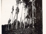 Archive-Lothard-1930-6